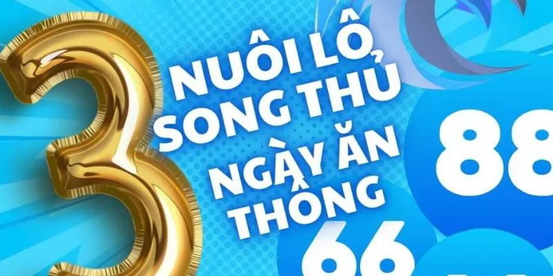 Cách nuôi lô song thủ giúp bạn nâng cao tỷ lệ thắng cược
